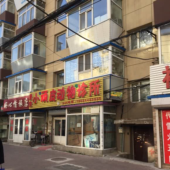 爱宠小顽皮动物诊所:长春市绿园区长春公园/新竹附近