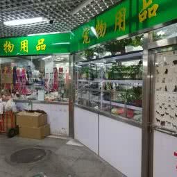 龙闪闪宠物俱乐部:北京城区丰台区刘家窑/宋家庄附近