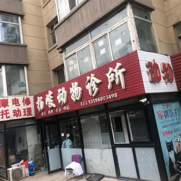 柏峻动物诊所:长春市绿园区长春公园/新竹附近