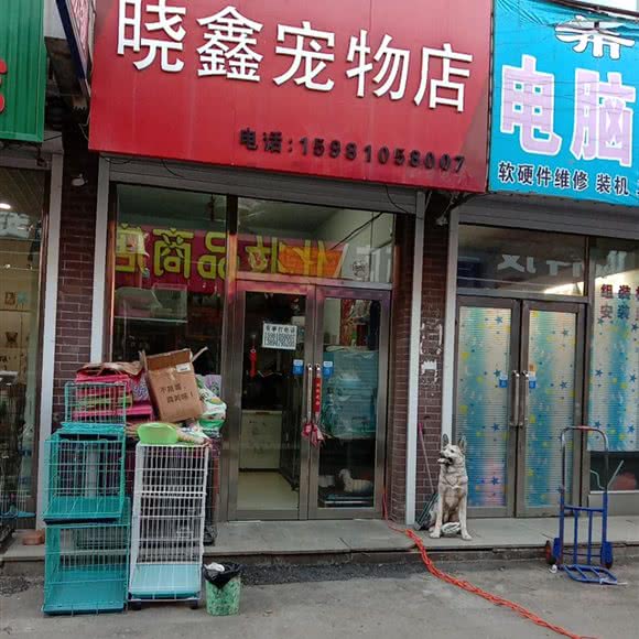 晓鑫宠物店:长春市榆树市榆树市附近