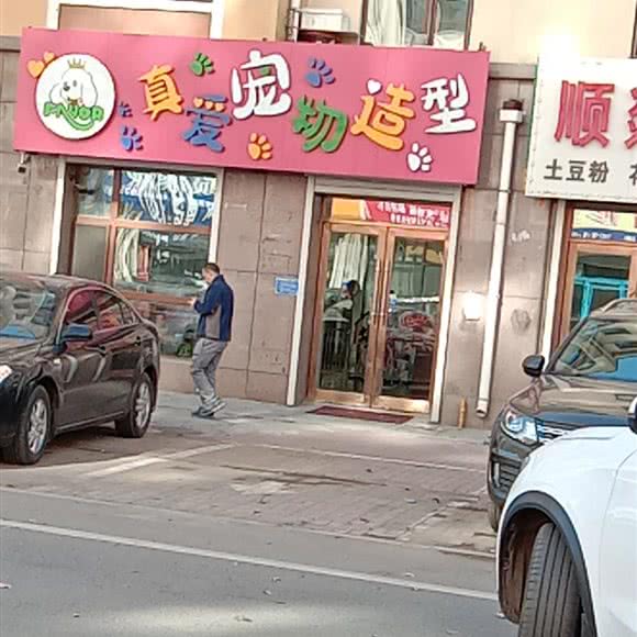 真爱宠物造型:长春市榆树市榆树市附近