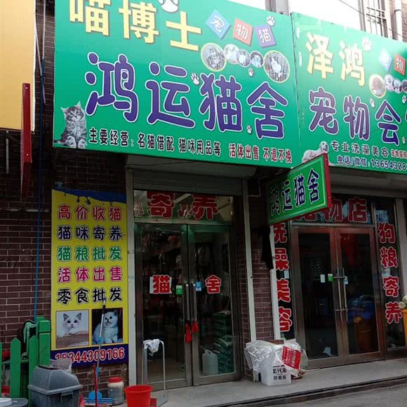 喵博士鸿运猫舍:长春市榆树市榆树市附近