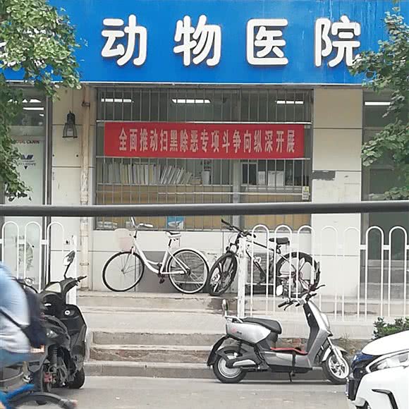 动物医院:北京城区丰台区刘家窑/宋家庄附近