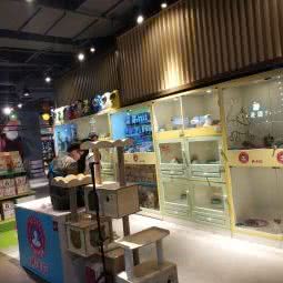 n+小猫:吉林市昌邑区财富广场附近