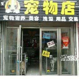 圣宠主义宠物店:吉林市昌邑区昌邑区政府附近
