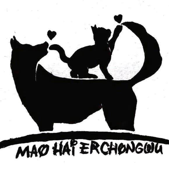 派特宠物诊所:吉林市昌邑区昌邑区政府附近