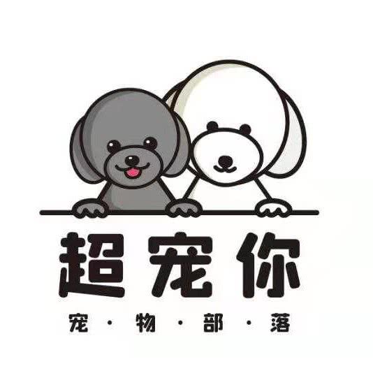 超宠你宠物部落:吉林市昌邑区松江二厅附近