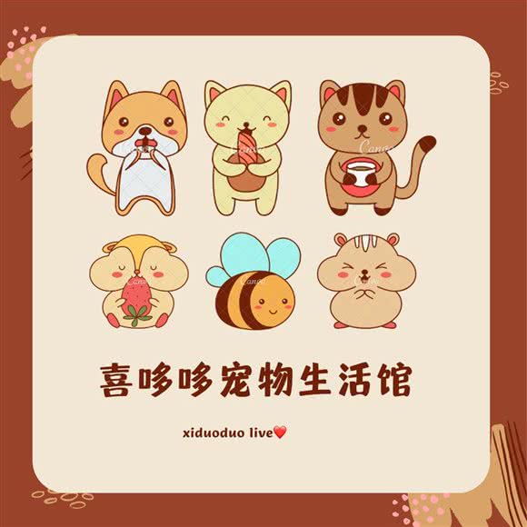 喜哆哆宠物休闲会馆:吉林市昌邑区松江二厅附近