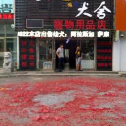 MONEY犬舍:吉林市昌邑区火车站附近