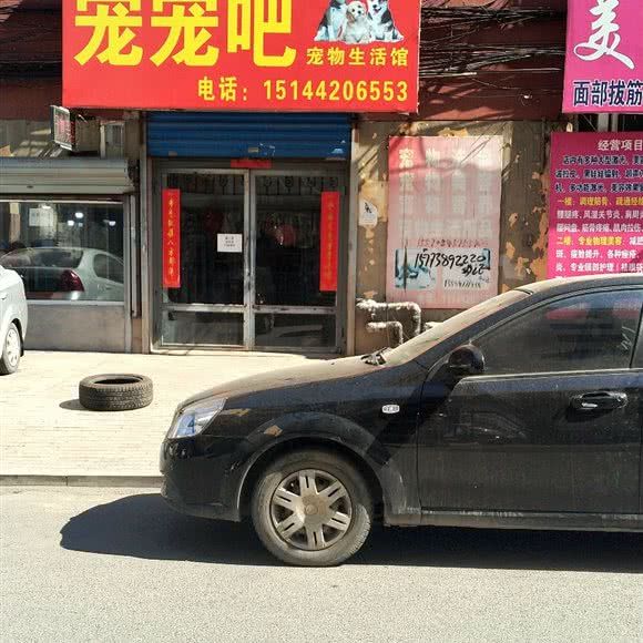 宠宠吧宠物生活馆:吉林市龙潭区江北公园附近
