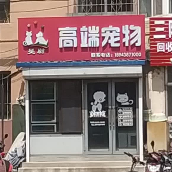 高端宠物:吉林市龙潭区铁东附近