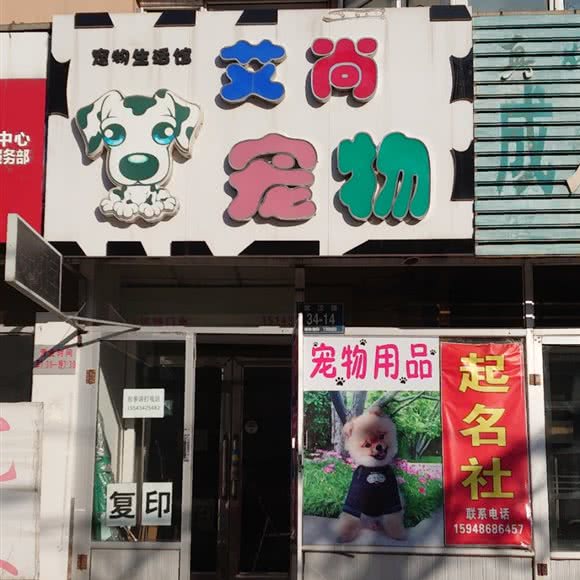 艾尚宠物:吉林市龙潭区铁东附近