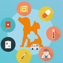 派美特宠物医院(昌茂店):吉林市船营区临江门附近