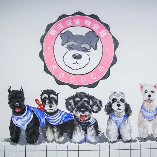 洛可可宠物会所:吉林市船营区珲春街附近