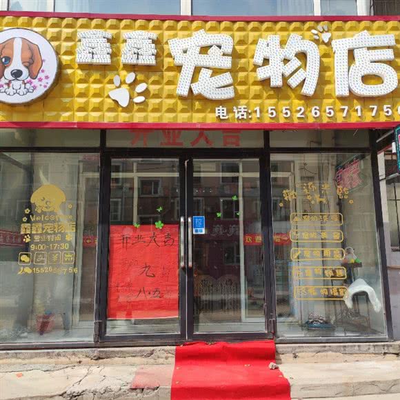 鑫鑫宠物:吉林市船营区解放中路附近