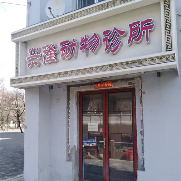 兴隆动物诊所:吉林市船营区德胜门附近