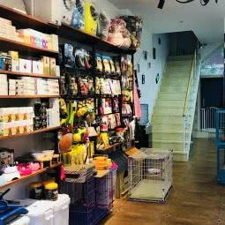 白板宠物店:吉林市丰满区厦门街附近