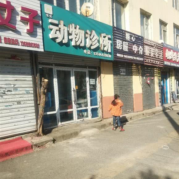 宝宝动物诊所:吉林市丰满区世纪广场附近