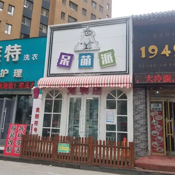 呆萌派宠物店:吉林市丰满区泰山路/厦门西街附近