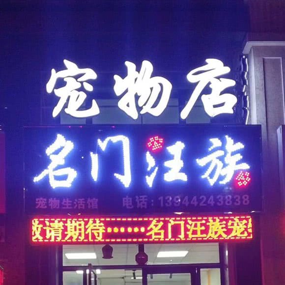 名门汪族宠物生活馆:吉林市丰满区北华南校区附近