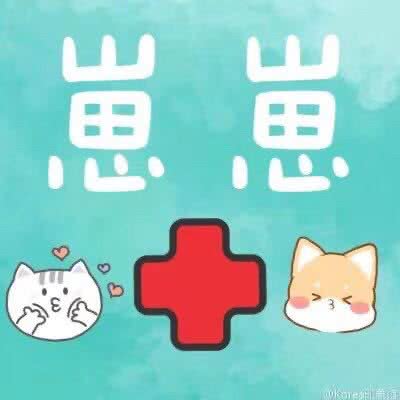 崽崽动物诊所:吉林市丰满区北华南校区附近