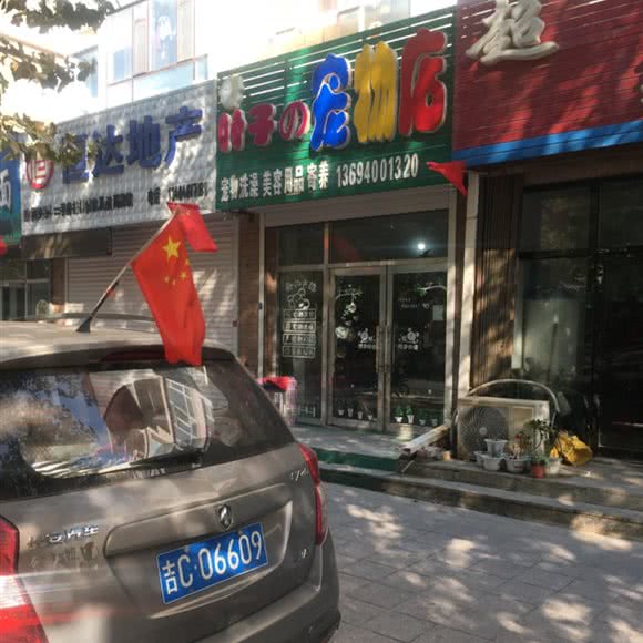 叶子宠物店:四平市铁西区西检院附近