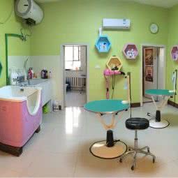 毛孩是家人宠物会所:四平市铁西区西检院附近