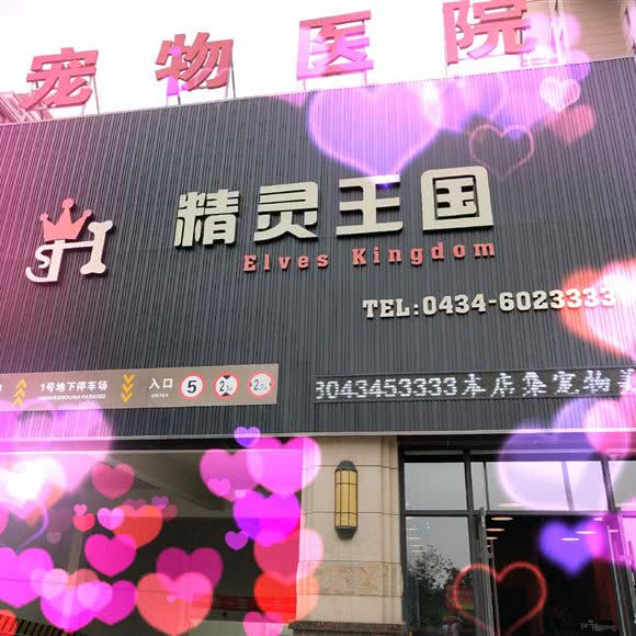 恶魔王国宠物医院:四平市铁西区西检院附近