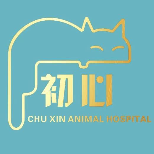 初心动物诊所:四平市铁西区西检院附近