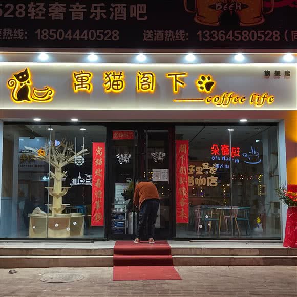 寓猫阁下:四平市铁西区师院附近