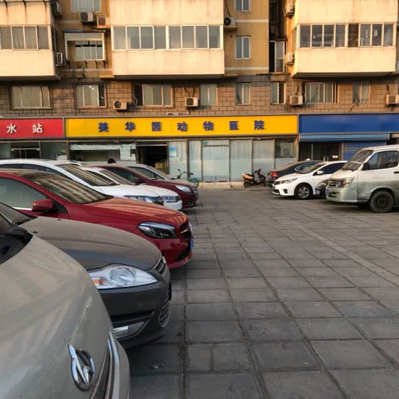美华园动物医院:北京城区丰台区看丹桥/新华街附近