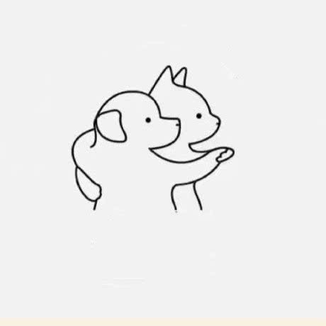 三三宠物生活馆:四平市铁东区铁东欧亚附近