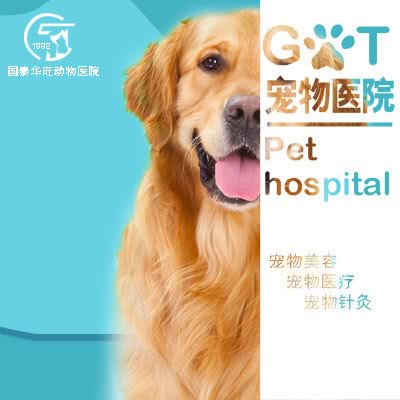 国泰动物医院:北京城区丰台区看丹桥/新华街附近