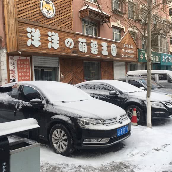 洋洋の萌兽王国:四平市铁东区铁东欧亚附近