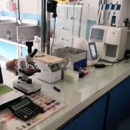 佳瑞动物诊所:四平市铁东区铁东欧亚附近