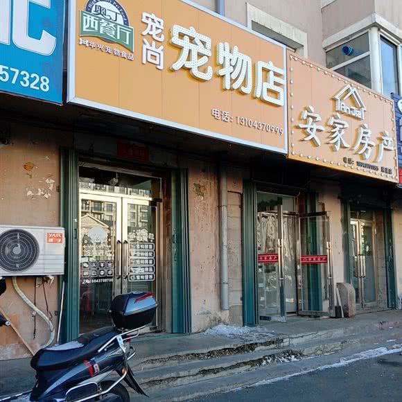 宠尚宠物店:辽源市龙山区隆基新城附近