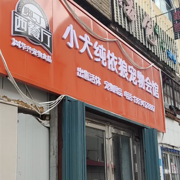 小犬纯依狼宠物会馆:辽源市龙山区东方广场附近