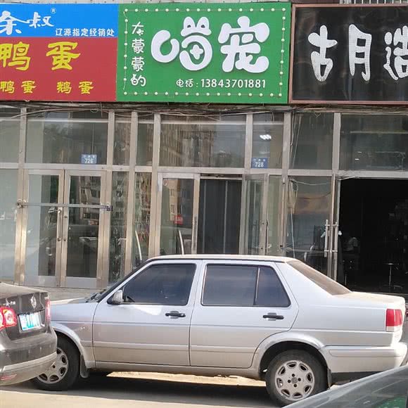 大蒙蒙的喵宠:辽源市龙山区东方广场附近