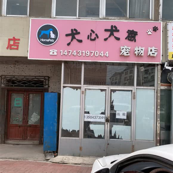 犬心犬意:辽源市龙山区东方广场附近