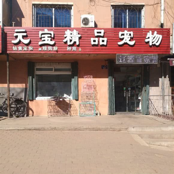 元宝精品宠物(三朔道口店):辽源市龙山区四百附近