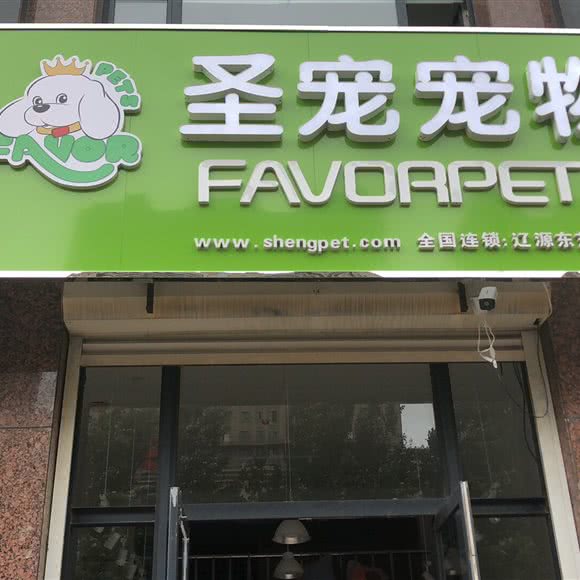 圣宠宠物(宠物美容 洗澡护理中心):辽源市龙山区七一附近