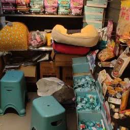 派派宠物美容:北京城区丰台区洋桥/木樨园附近