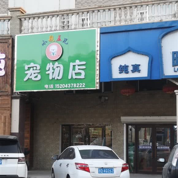 小瓶盖儿宠物店:辽源市龙山区半岛附近