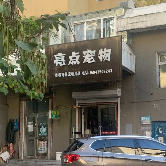 亮点宠物:通化市东昌区集贸/百货大楼附近