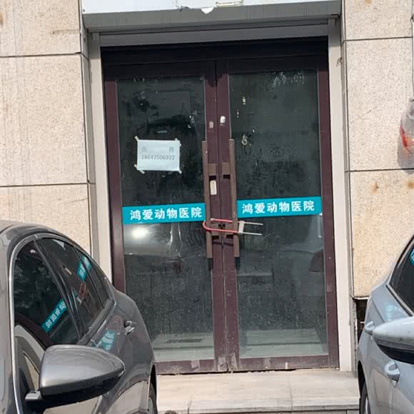鸿爱动物医院:通化市东昌区光明路附近