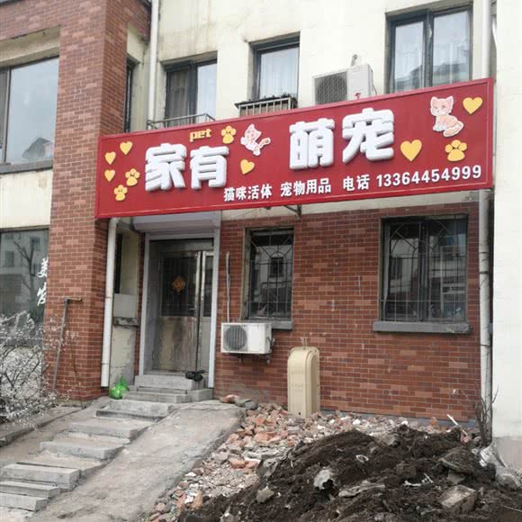 家有萌宠:通化市东昌区第一中学/五月花附近