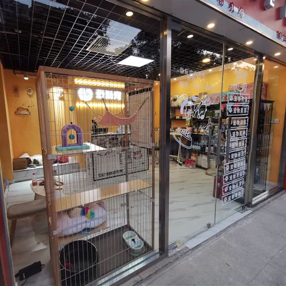 爱尚宠·宠物:北京城区丰台区洋桥/木樨园附近