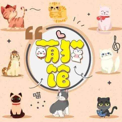 咪宝萌猫馆:通化市东昌区胜利路附近