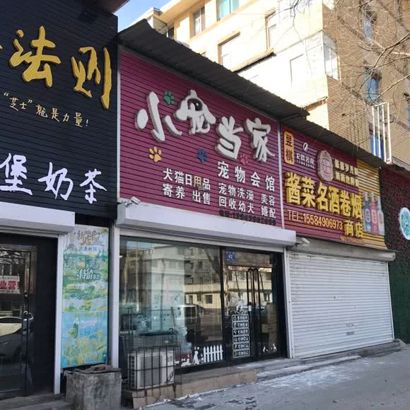 小宠当家宠物狗会馆:白山市浑江区贸易城附近