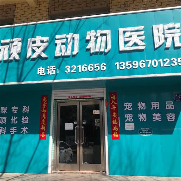 顽皮动物医院:白山市浑江区向阳附近